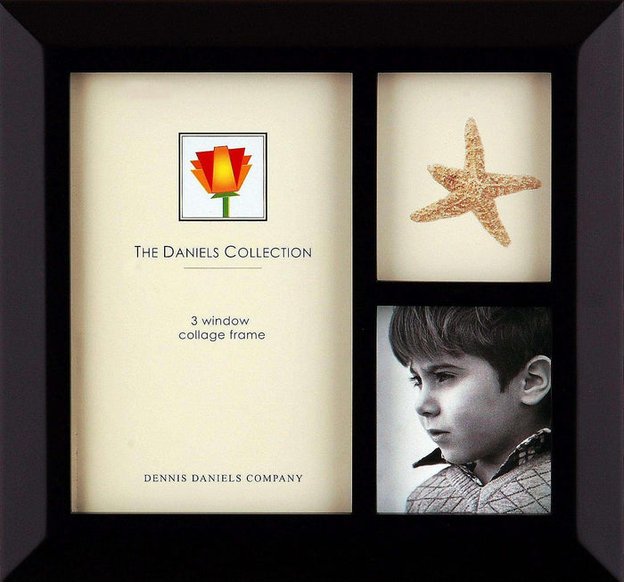 Dennis Daniels 3 Varied Opening Frame