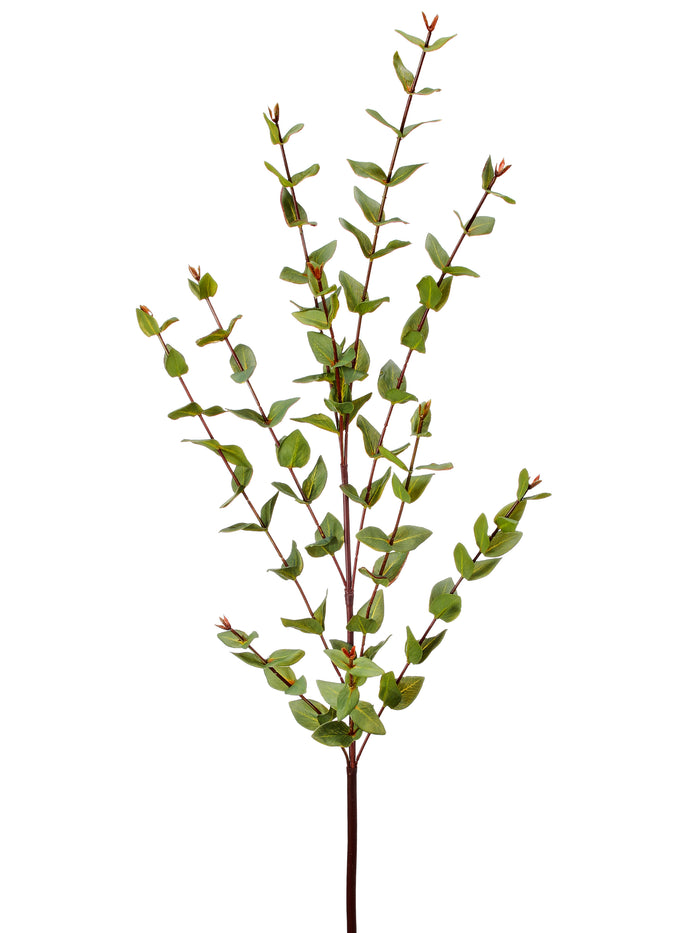 Silk green real touch mini eucalyptus spray 38 inch for transitional everyday home decor from Magnolias Home Decor