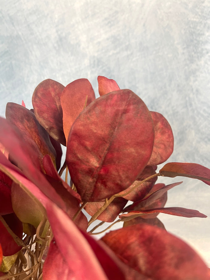 Red Cotinus Leaf Bush