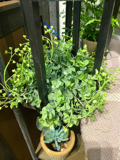 12" Boxwood Half Orb