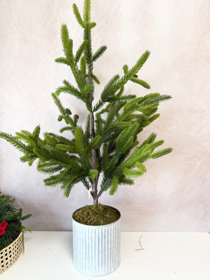 36" Potted Real Touch Norway Spruce Tree
