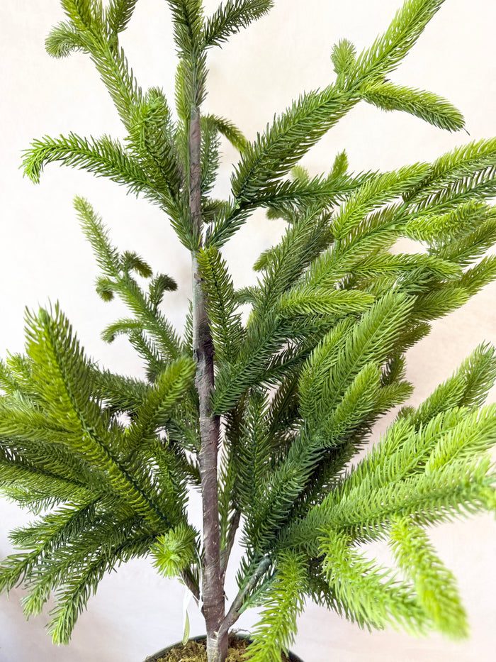 36" Potted Real Touch Norway Spruce Tree