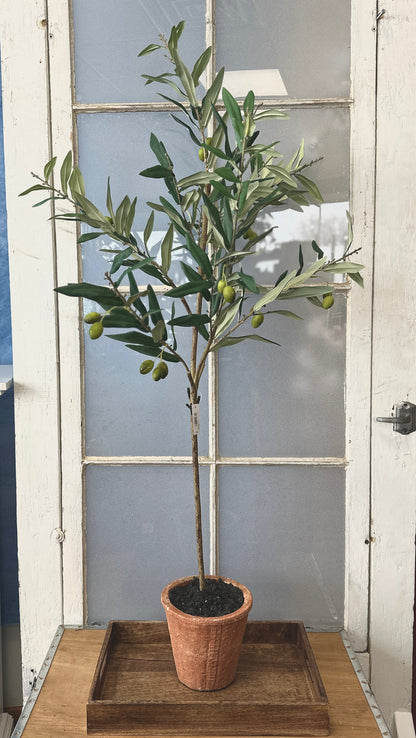 47" Potted Olive Tree