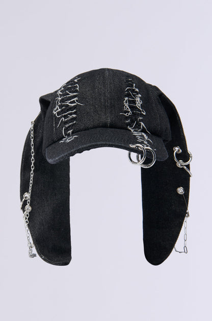 AERIAL VIEWS HAT