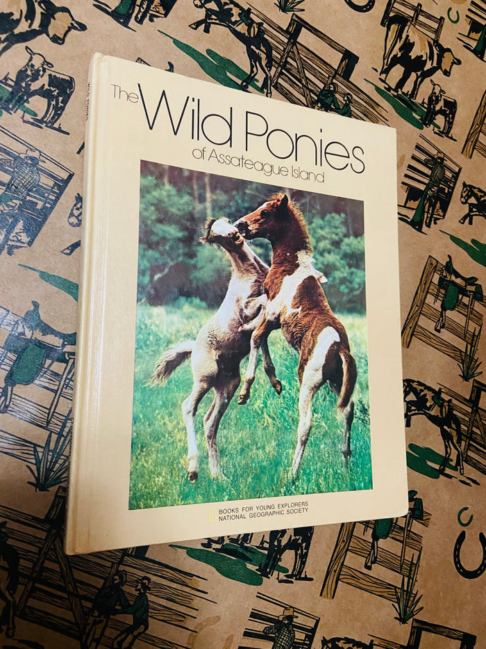 Vintage The Wild Ponies Of Assabague Island, National Geographic Book, 1975 - Deer Creek Mercantile