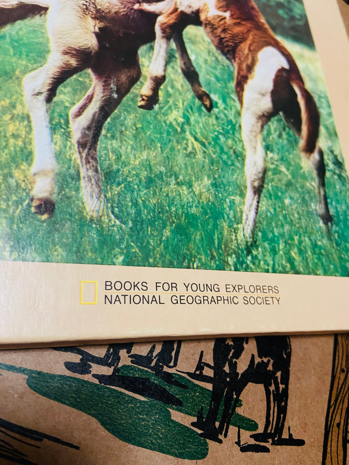 Vintage The Wild Ponies Of Assabague Island, National Geographic Book, 1975 - Deer Creek Mercantile