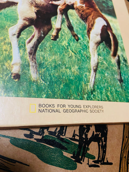 Vintage The Wild Ponies Of Assabague Island, National Geographic Book, 1975 - Deer Creek Mercantile