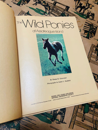 Vintage The Wild Ponies Of Assabague Island, National Geographic Book, 1975 - Deer Creek Mercantile