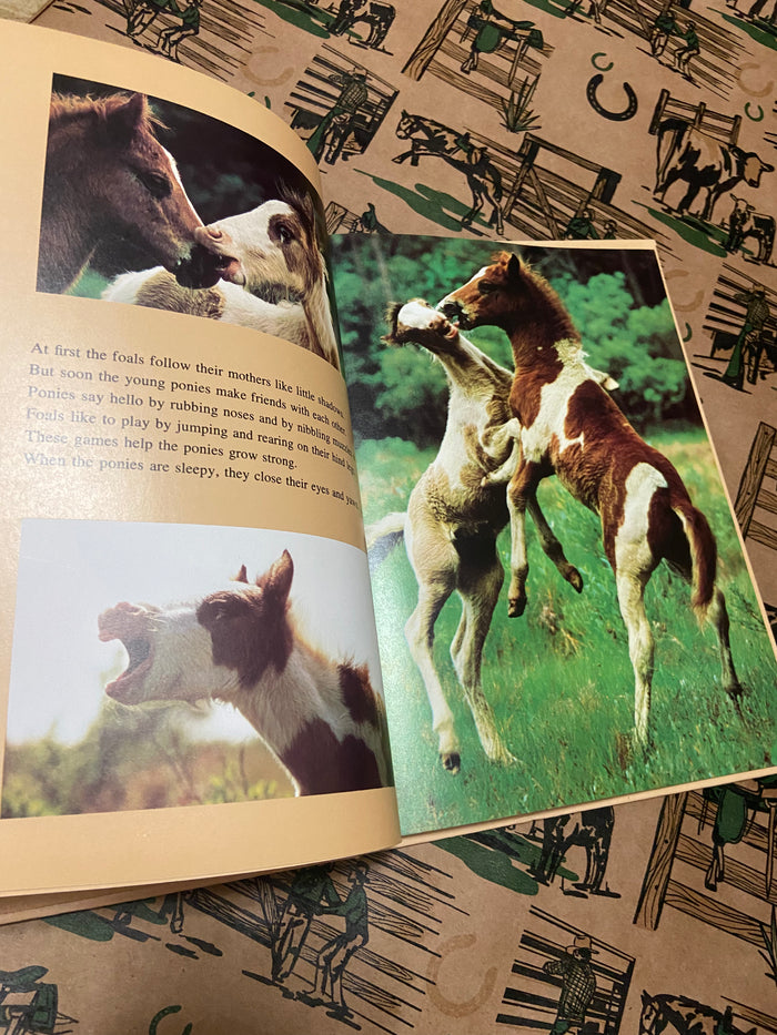 Vintage The Wild Ponies Of Assabague Island, National Geographic Book, 1975 - Deer Creek Mercantile