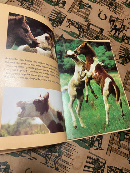Vintage The Wild Ponies Of Assabague Island, National Geographic Book, 1975 - Deer Creek Mercantile