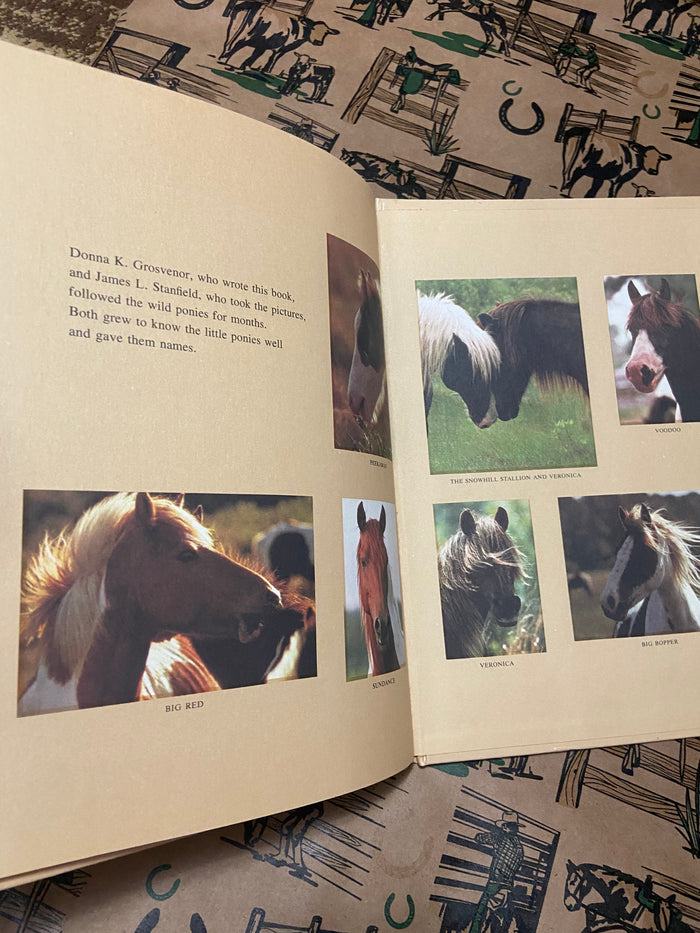 Vintage The Wild Ponies Of Assabague Island, National Geographic Book, 1975 - Deer Creek Mercantile