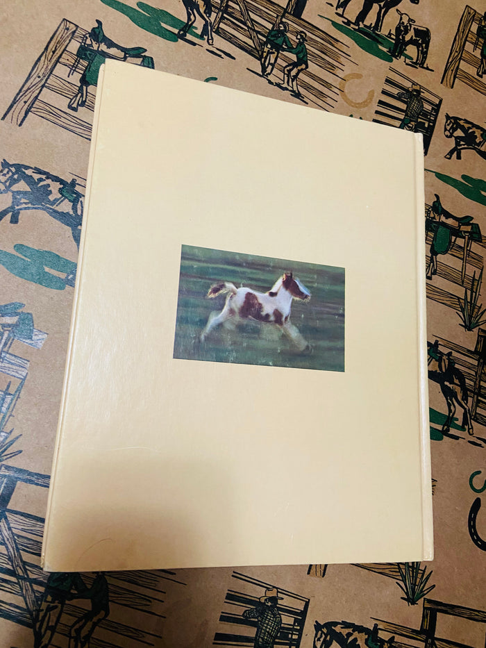 Vintage The Wild Ponies Of Assabague Island, National Geographic Book, 1975 - Deer Creek Mercantile