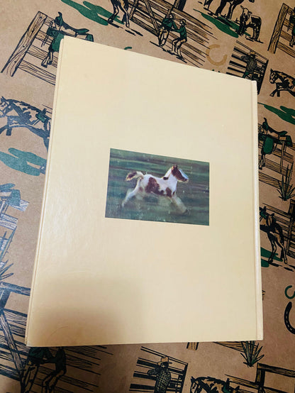 Vintage The Wild Ponies Of Assabague Island, National Geographic Book, 1975 - Deer Creek Mercantile