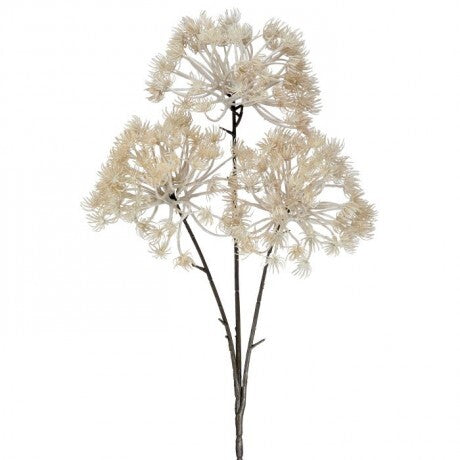 Autumn Queen Anne's Lace Spray
