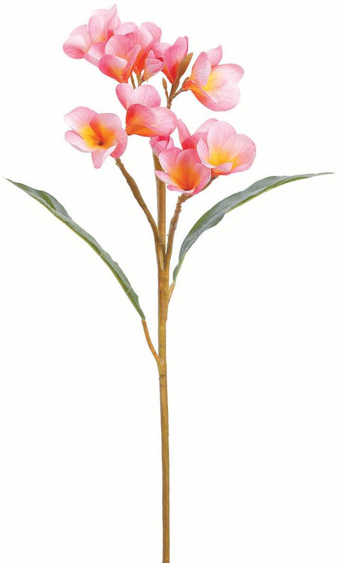Boysenberry Plumeria Spray