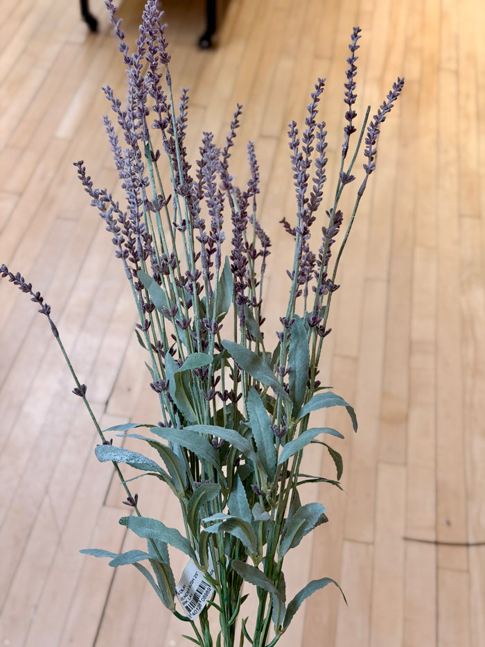 Breckenridge Lavender Bush