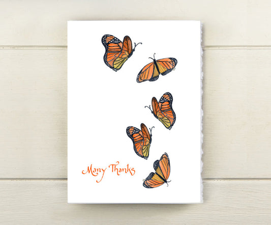 Monarch butterflies thank you card