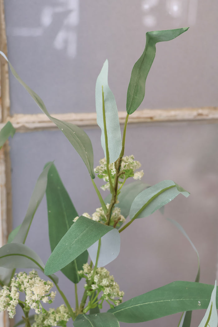 Classic Eucalyptus Spray