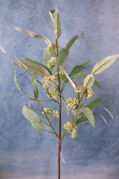 Classic Eucalyptus Spray