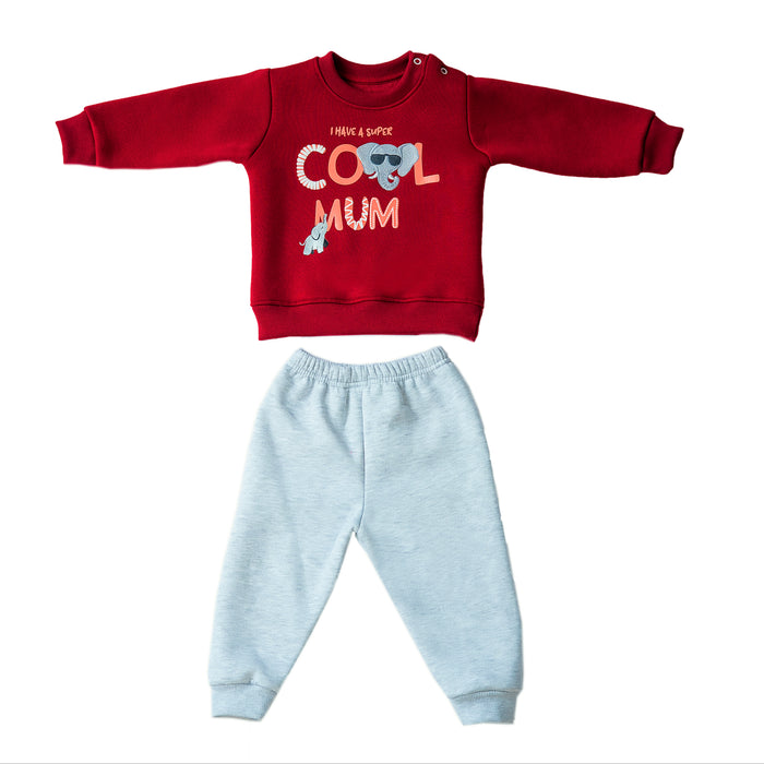Cool mom elephant