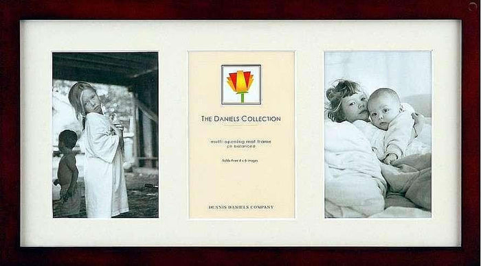 Dennis Daniels 3 Opening 4x6 Frame