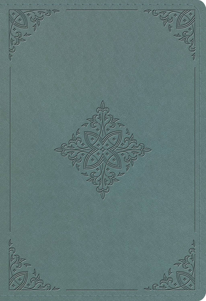 ESV Student Study Bible (TT, Paris Sky)