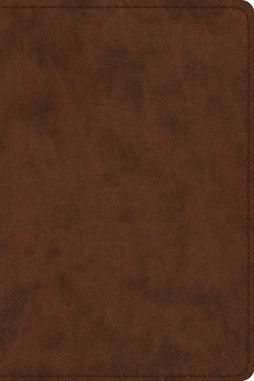 ESV Study Bible, Personal Size (TT, Brw)