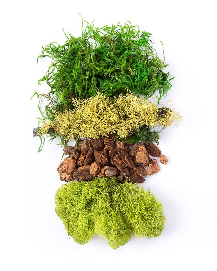 Fairy Garden Moss Kit