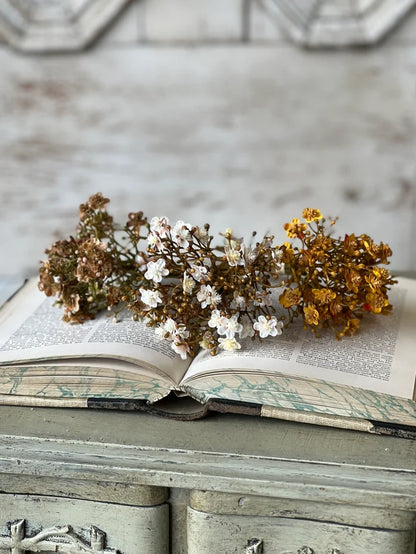 Golden Emmeline Stem Bundle