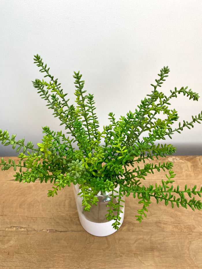 Green Journey Sedum Spray