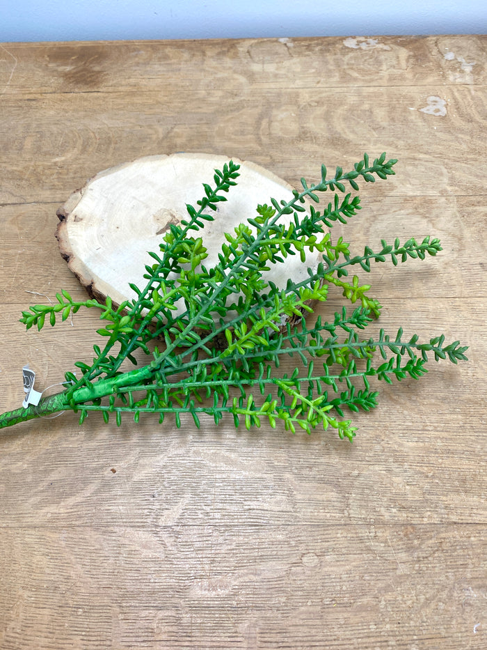 Green Journey Sedum Spray