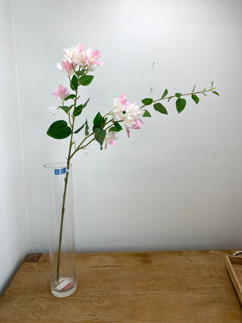 Greenhouse Pink Bougainvillea Spray