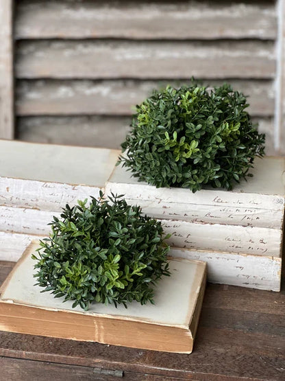 New England Boxwood Half Sphere