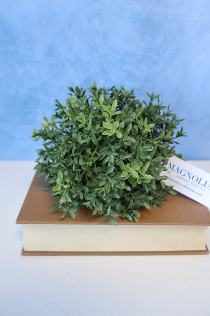 New England Boxwood Half Sphere