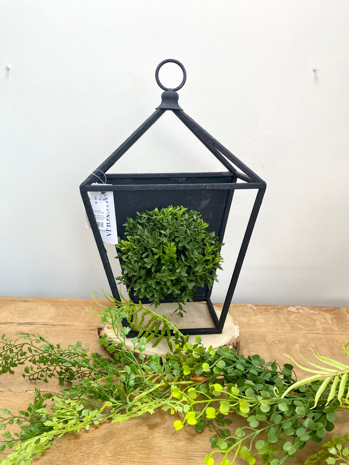 New England Boxwood Half Sphere