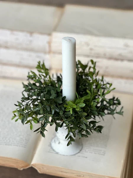 New England Boxwood Taper Candle Ring