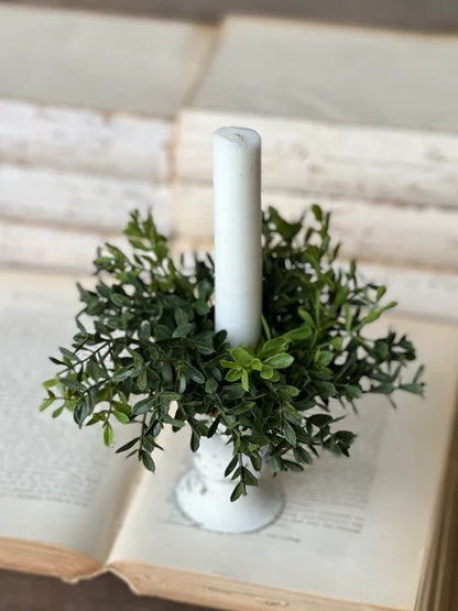 New England Boxwood Taper Candle Ring