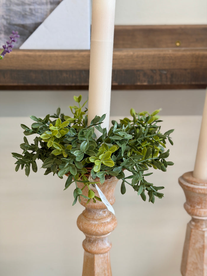 New England Boxwood Taper Candle Ring