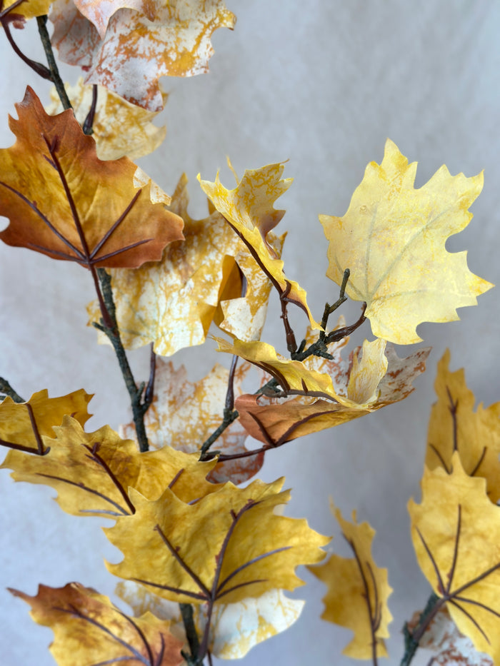 Northern Vermont Maple Spray