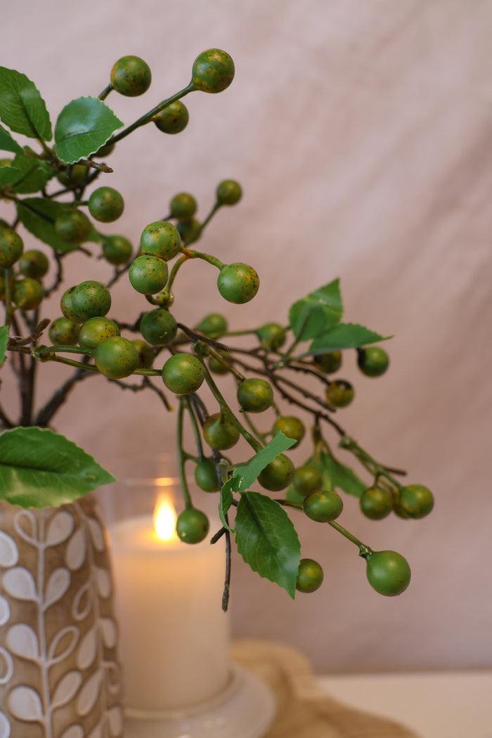 Olive Berry Spray