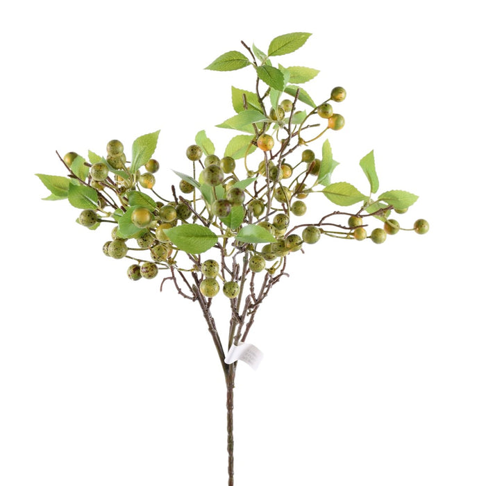 Olive Berry Spray