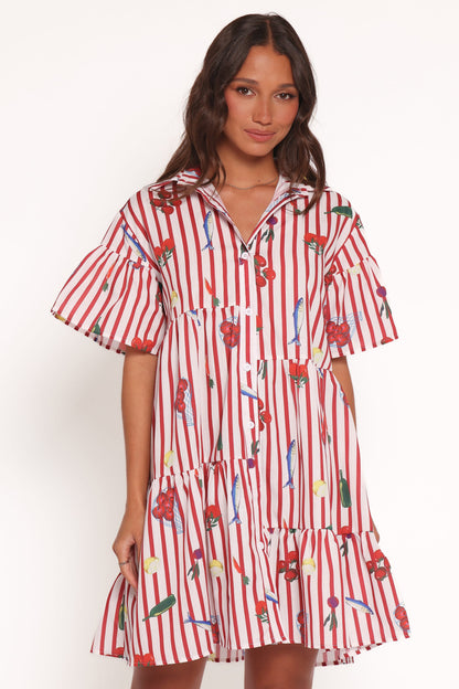 Peachy Mini Dress - Red Picnic Stripe