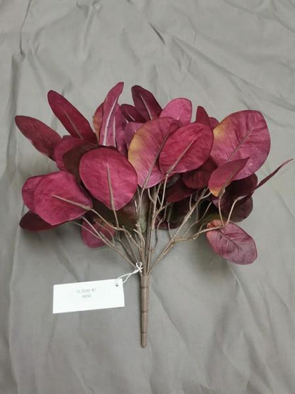 Red Cotinus Leaf Bush