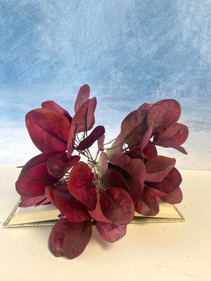 Red Cotinus Leaf Bush