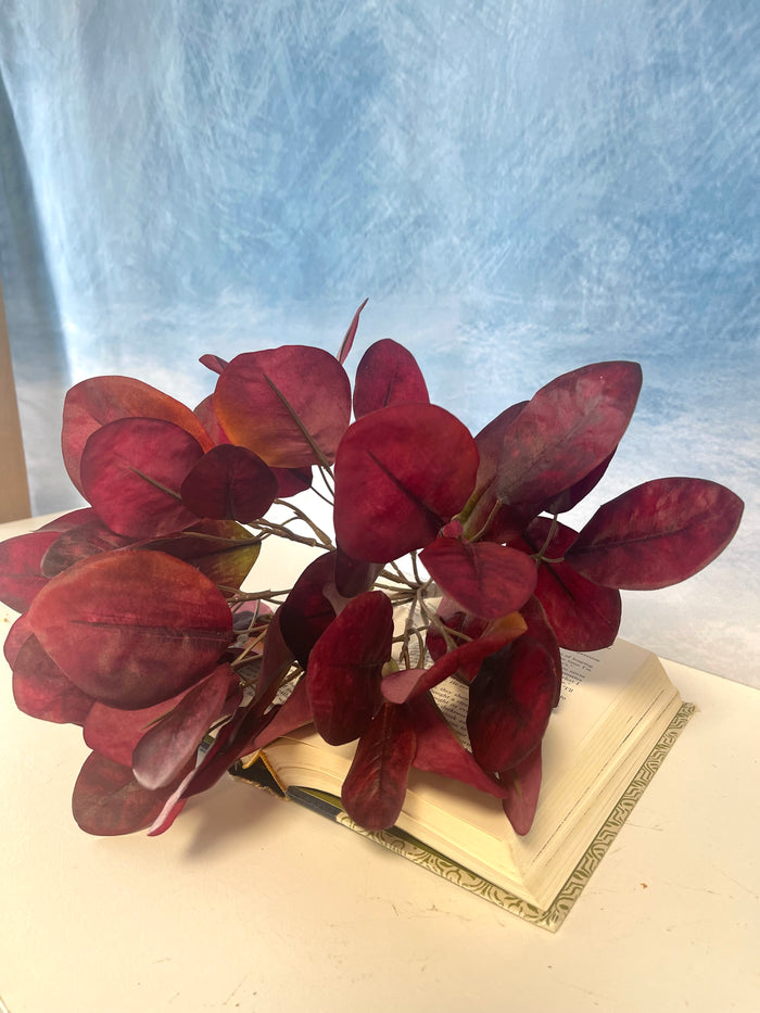 Red Cotinus Leaf Bush