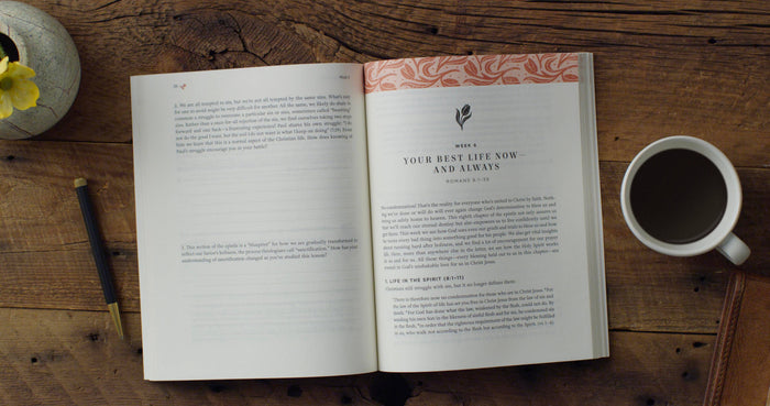 Romans: The Glory of the Gospel ~Flourish Bible Study Series