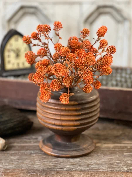Russet Cone Bush