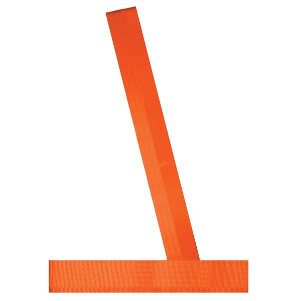 Safety Patrol Belt