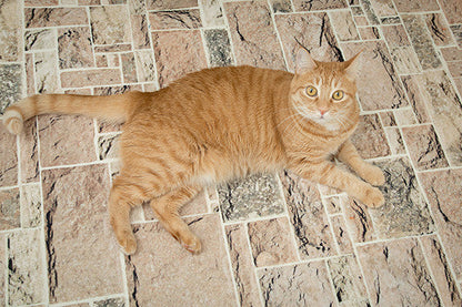Savage Mosaic Pavers Floor Drop