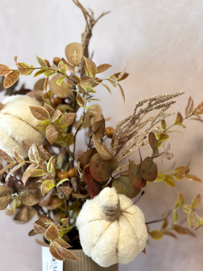 Soft Autumn Pumpkin Mixed Bundle
